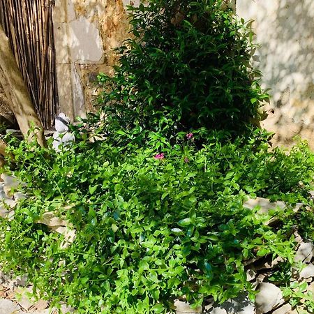 Appartement Avec Jardin Privatif Cazouls-lès-Béziers Exteriér fotografie