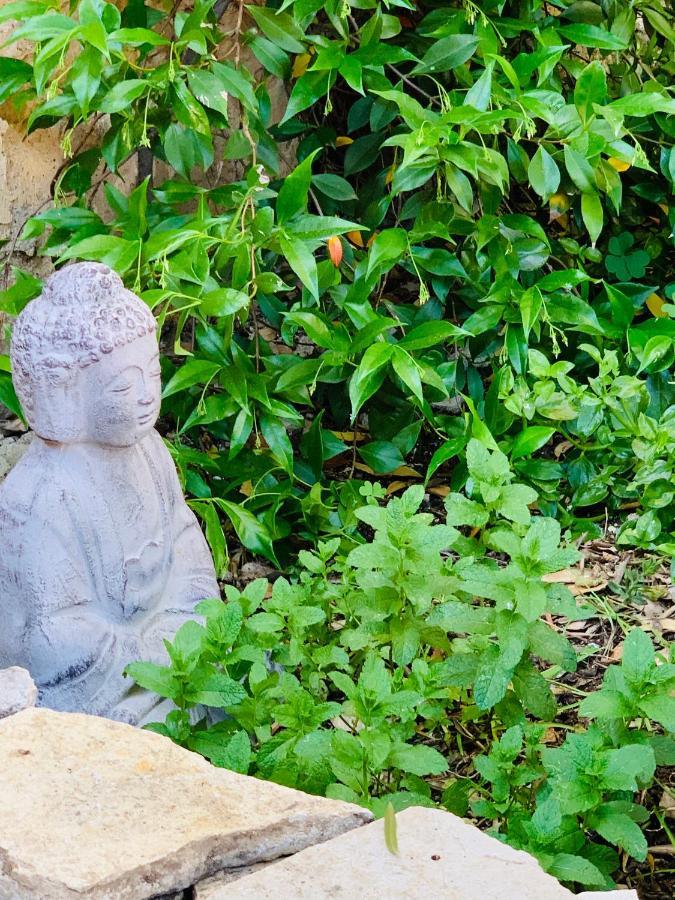 Appartement Avec Jardin Privatif Cazouls-lès-Béziers Exteriér fotografie