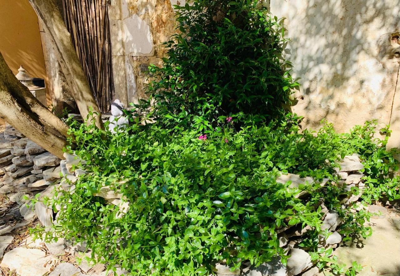 Appartement Avec Jardin Privatif Cazouls-lès-Béziers Exteriér fotografie