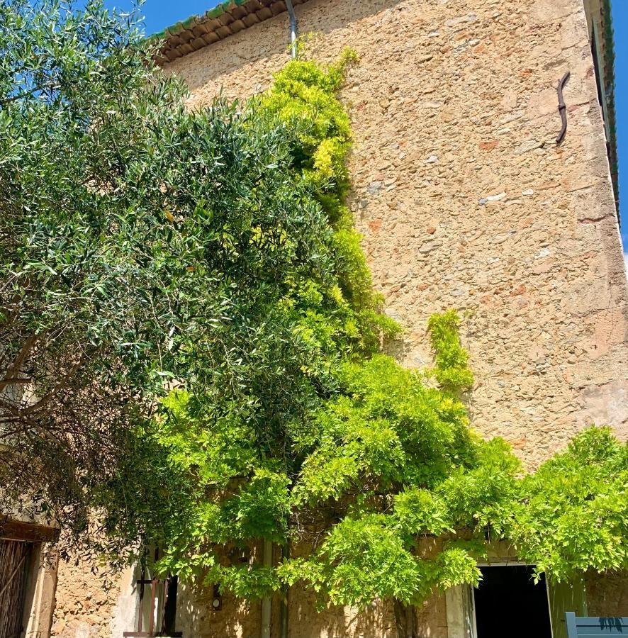 Appartement Avec Jardin Privatif Cazouls-lès-Béziers Exteriér fotografie