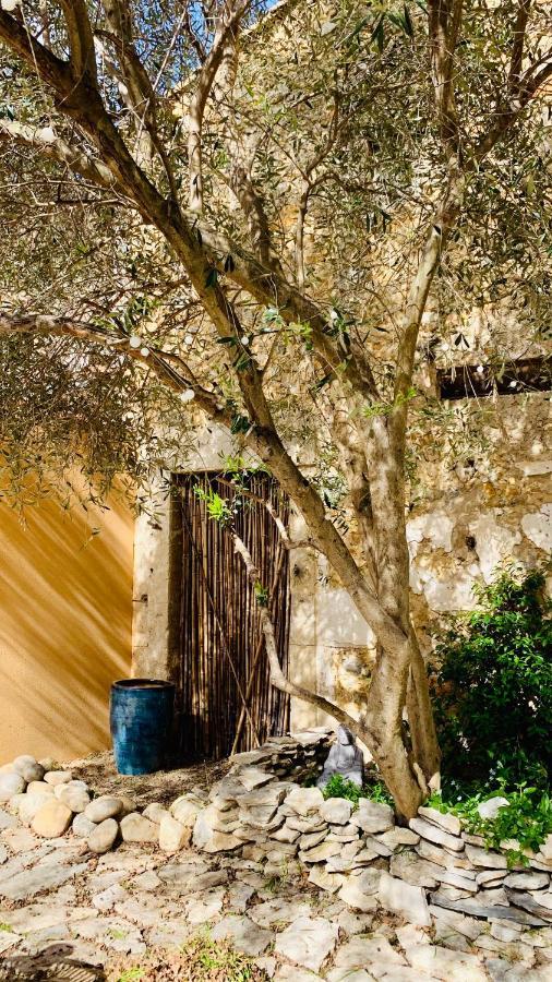 Appartement Avec Jardin Privatif Cazouls-lès-Béziers Exteriér fotografie